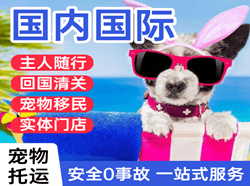 阿尔山伊尔施航空托运国际宠物托运 【国